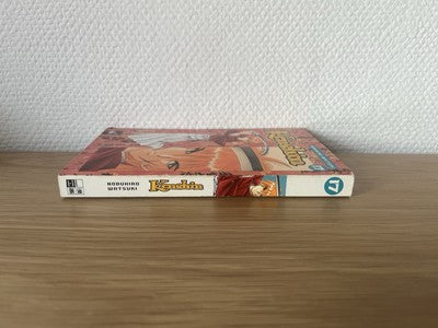 Kenshin Manga Band 17 Deutsch - 1. Auflage
