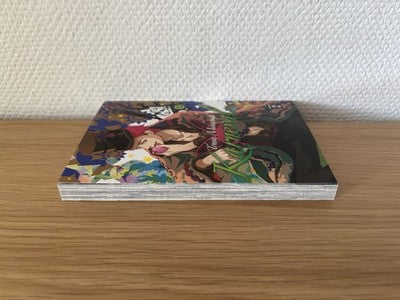 Karneval Manga Band 22 Deutsch - 1. Auflage