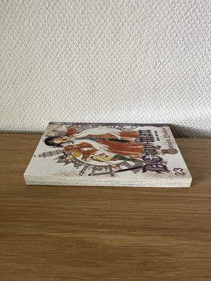 D. Gray Man Manga Band 23 Deutsch