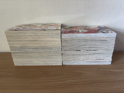 Dragon Girls Band 1 - 21 komplett | Manga Deutsch | Carlsen Manga