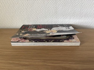 Psychic Detective Yakumo Manga Band 13 - 1. Auflage